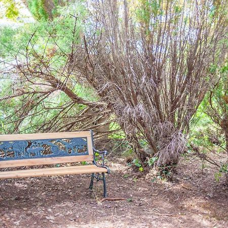 Cwtch Y Coetir Villa Swansea Bagian luar foto