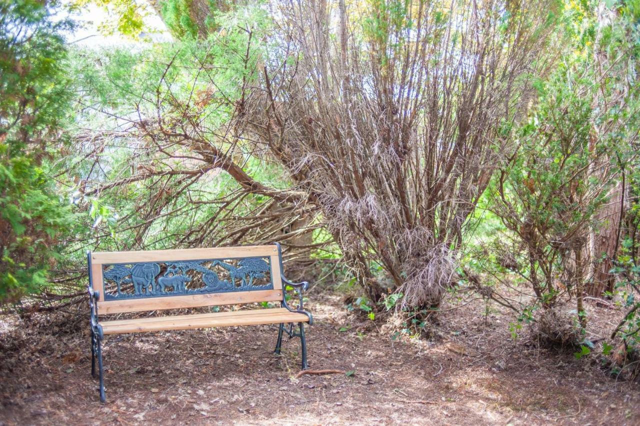 Cwtch Y Coetir Villa Swansea Bagian luar foto